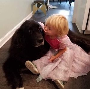 Meet your Posher, Barbara